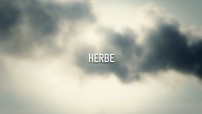 STRUCTURAL FAULT - Herbe (teaser) image